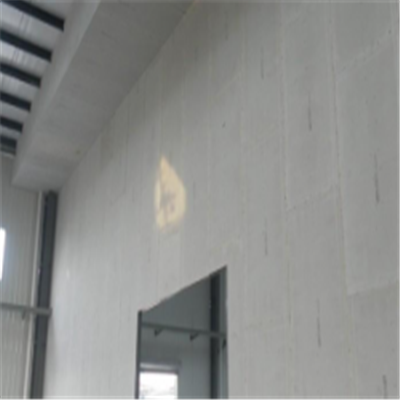 大理宁波ALC板|EPS加气板隔墙与混凝土整浇联接的实验研讨